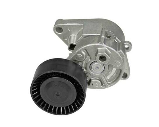 BMW Serpentine Belt Tensioner (Mechanical) - INA 5330015100